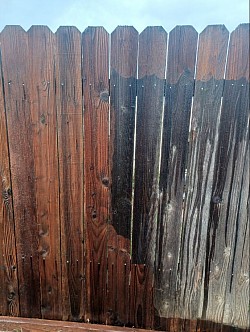 Before and after fence