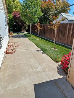 Patio prwssure wash