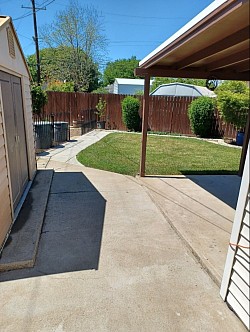 Backyard pressure wash