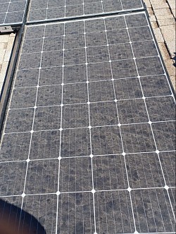 Solarpanel